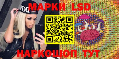 spice Краснокаменск