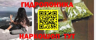 сатива Краснодар