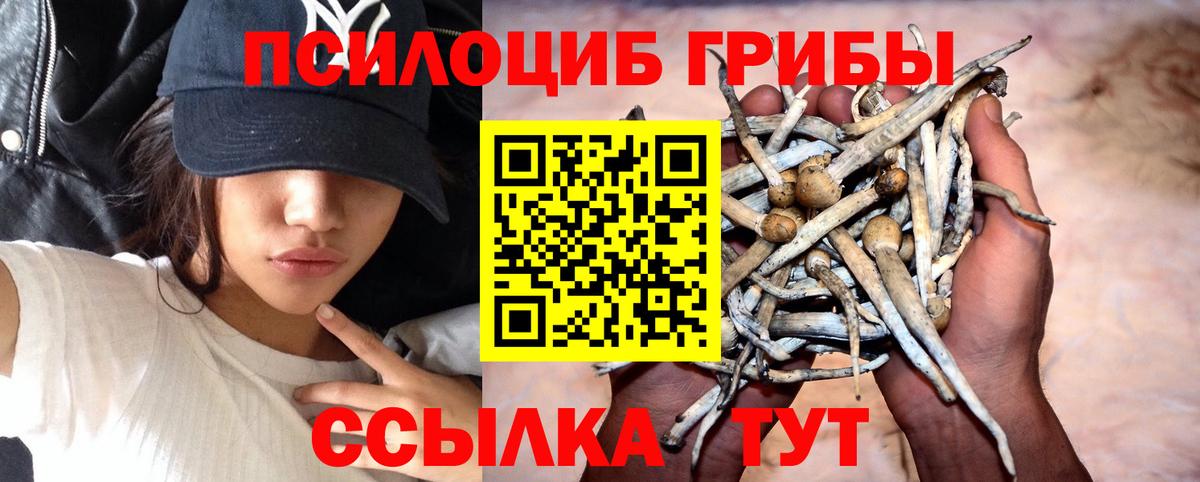 Псилоцибиновые грибы GOLDEN TEACHER  Вход с VPN  Королёв  Галлюциногенные грибы ЛСД 