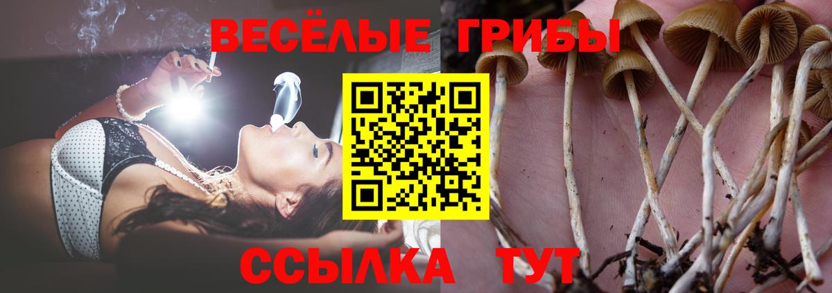 Псилоцибиновые грибы мухоморы Королёв